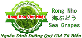 RongNhoVietNhat.com